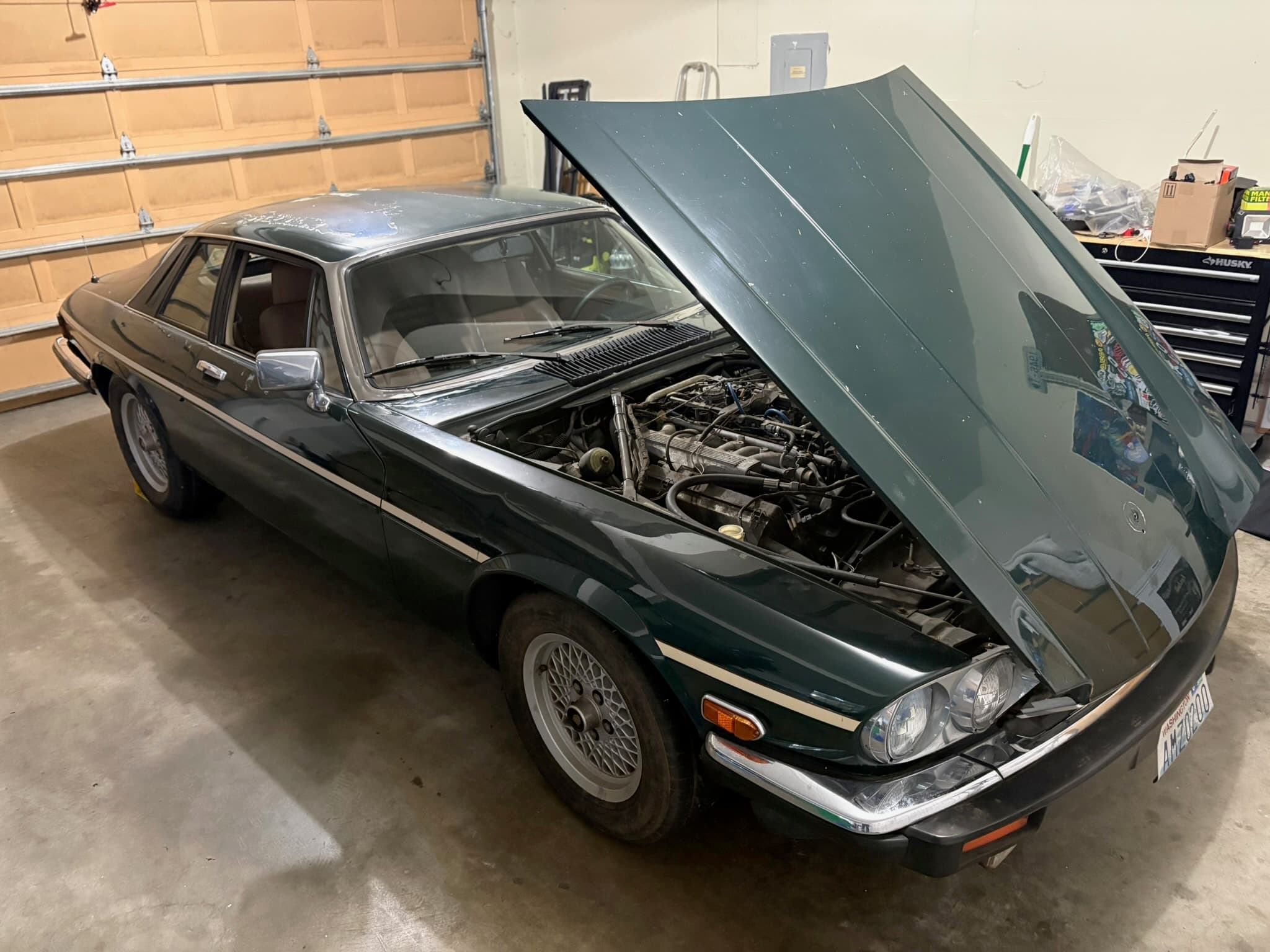 $2K, pulled from a Dairy Barn. We managed to get it off the Flatbed and up the hill to the garage. Climbed the hill at 5 MPH, zero power, I don't think its running on more than 6 of the 12 cylinders. Mouse nests in engine bay. Fuel pump on a switch from Home Depot. Holes in floor, hole in trunk, major rust above both wheels and one side of the left back panel. It's going to be a project.