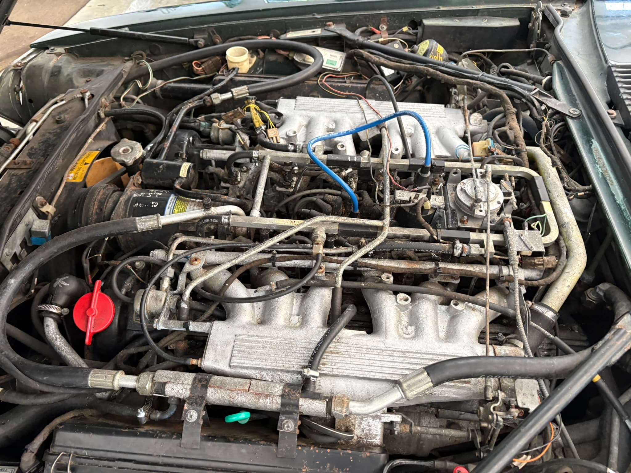 Wiring has had a few mouse encounters