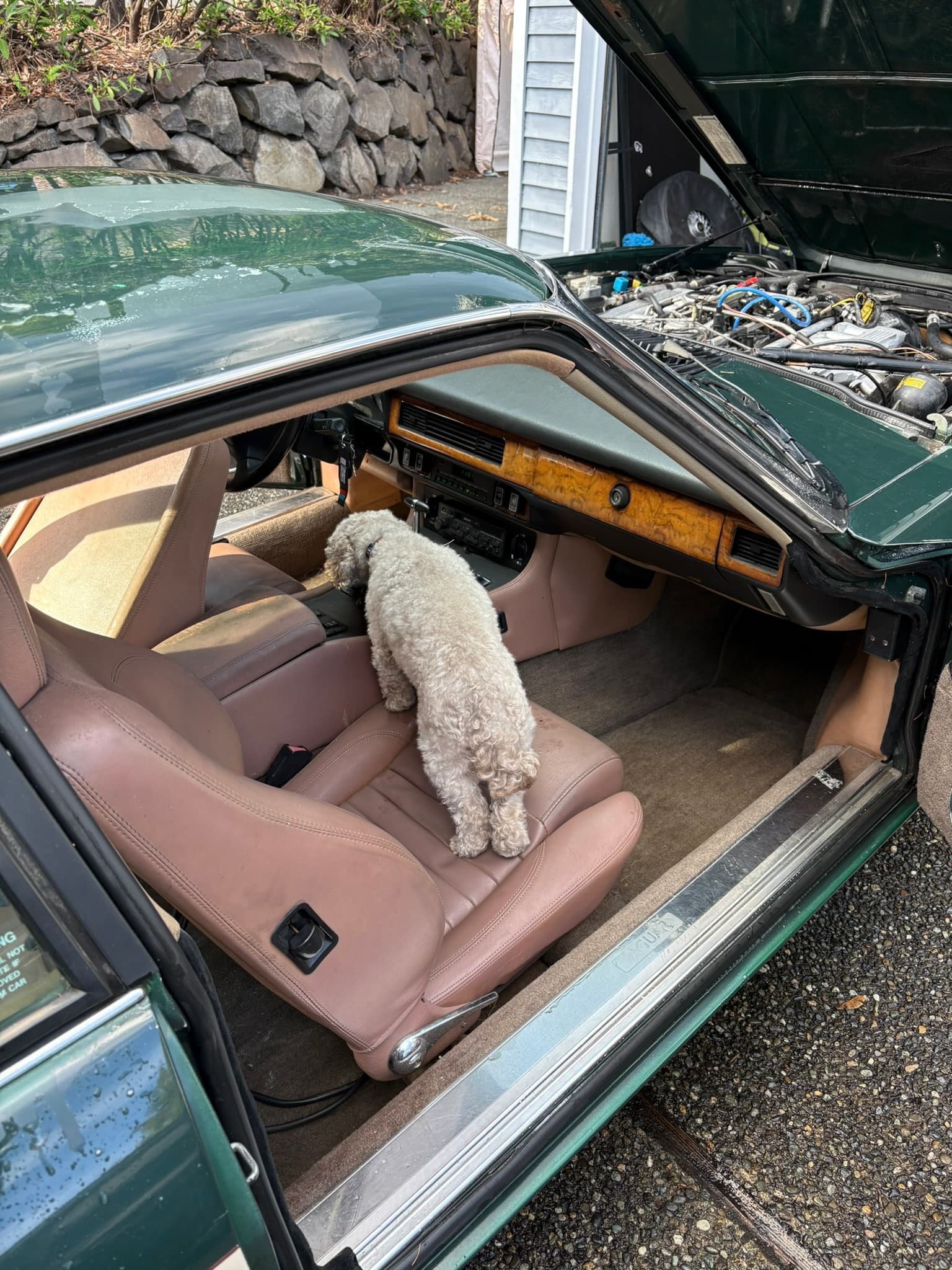 Brought in reinforcements to review state of interior