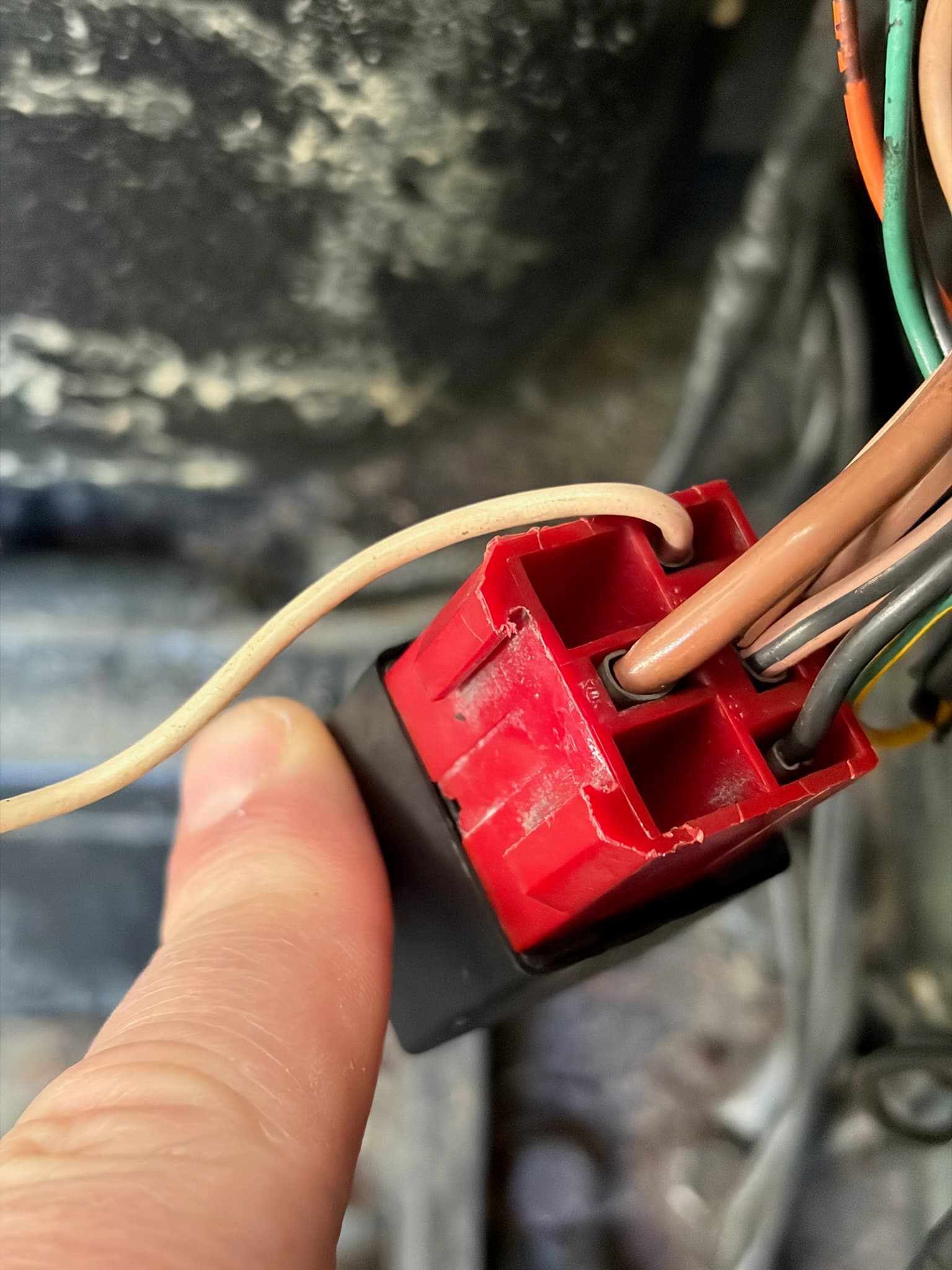 Fuel pump was on a manual switch. Determined that the fuel live was not live when ignition was on. Fixed the connection, fuel pump turns on and primes as designed!