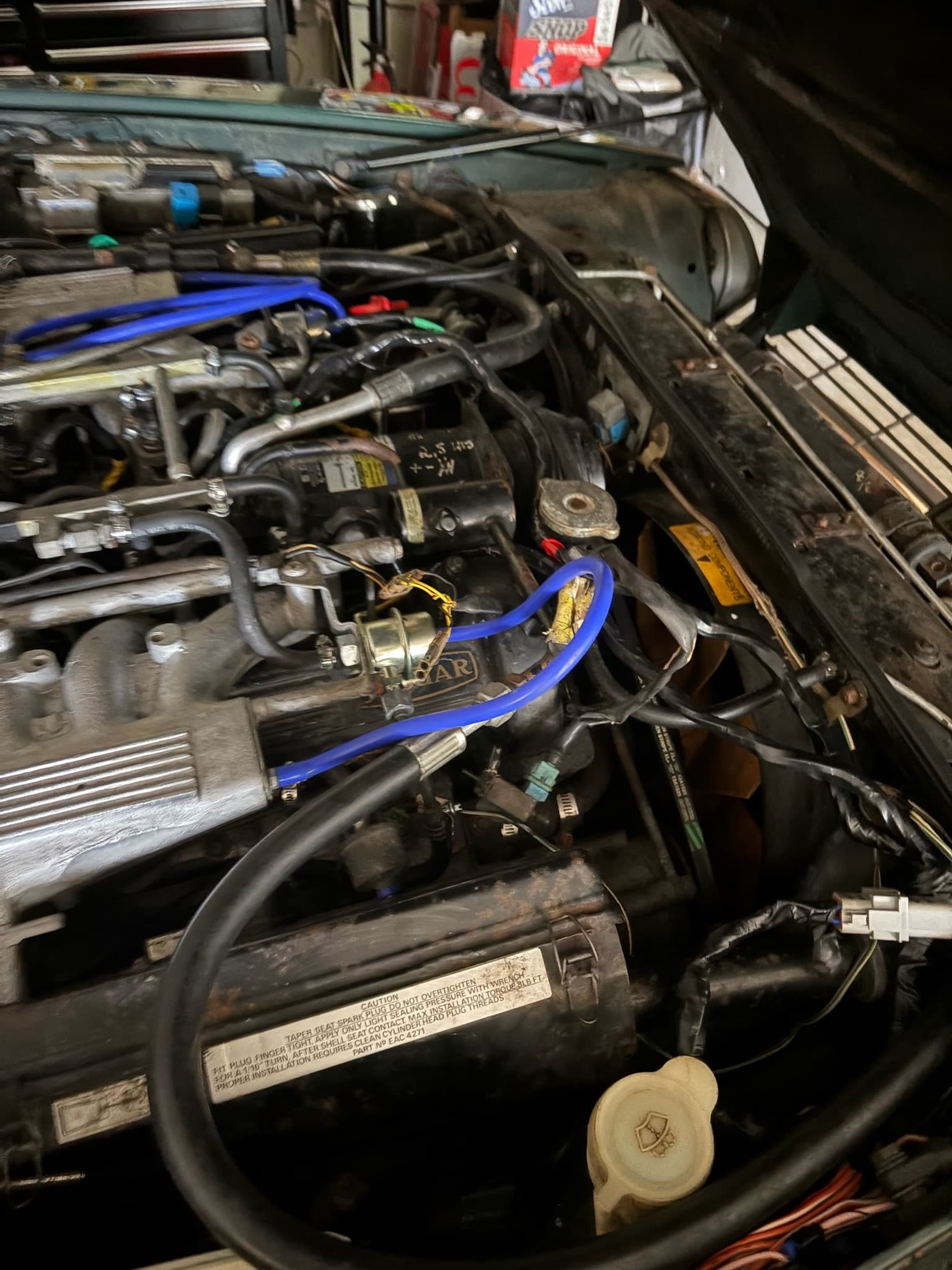 Engine bay looking tidier with new blue hoses and cleaned up wiring