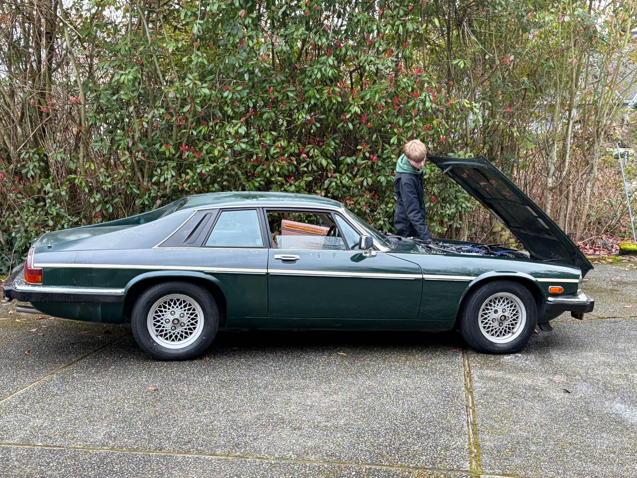 Side profile of the XJS outside, hood up, looking great in British Racing Green. New tires on!