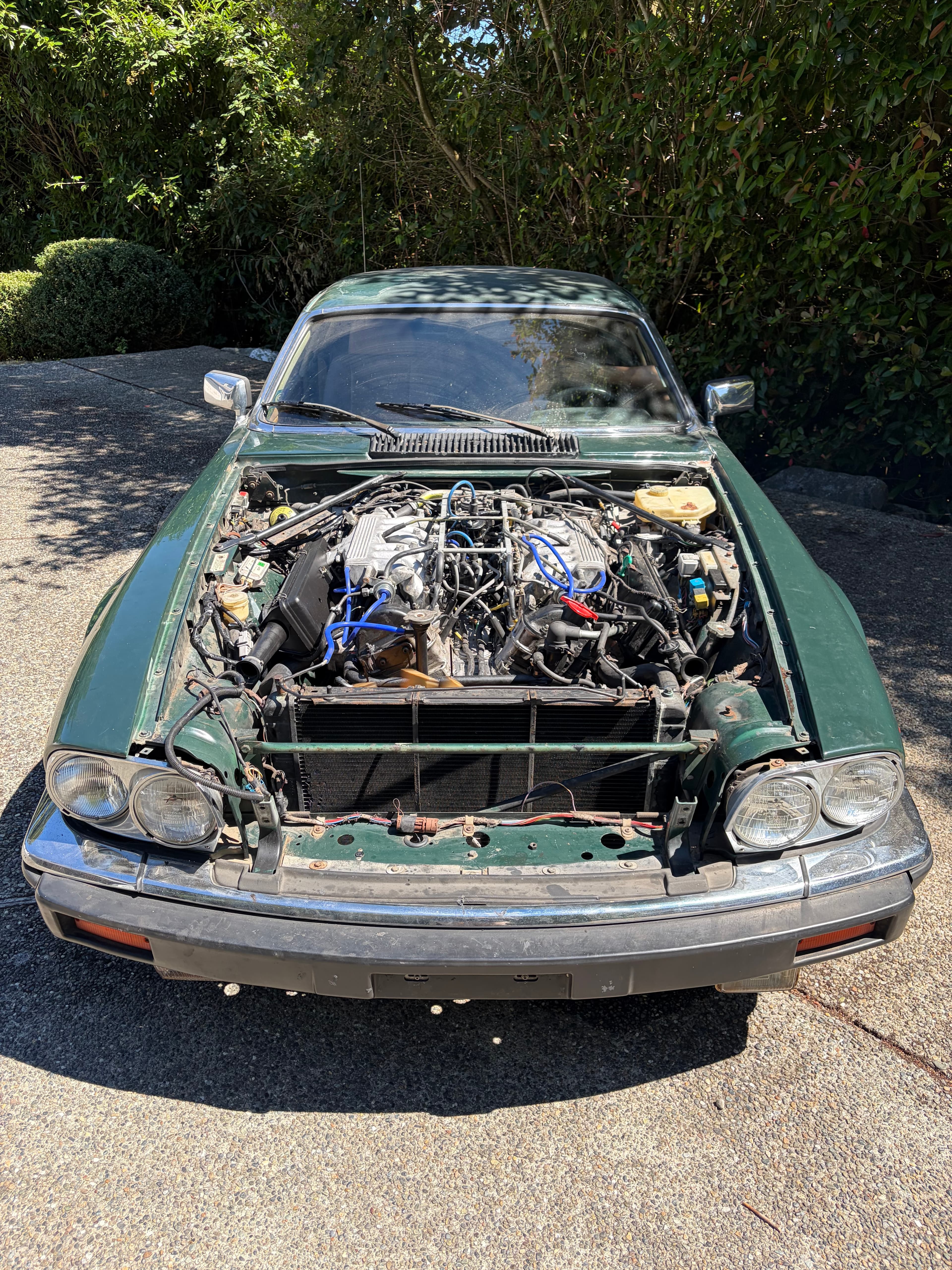 Running ... yes, really. All 12v... but, Oil Leak